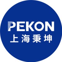 Shanghai PEKON Digital Technology Co. Ltd. logo - Similar company to Crt Electronic