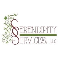 Serendipity Services logo - Similar company to Datapipesoft