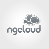 ngcloud logo - Similar company to Ngcloudx