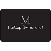 MarCap (Switzerland) logo - Similar company to Idoneus
