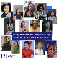 FemCode Africa logo - Similar company to Femcode