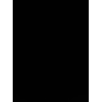PARSIS logo - Similar company to Canada Immigration Express