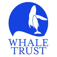 Whale Trust logo - Similar company to Pacific Whale Foundation