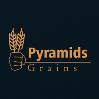 Pyramids Grains logo - Similar company to Grain Protrade