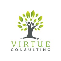 Virtue Consulting logo - Similar company to Robestek Solutions