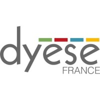 DYESE FRANCE logo - Similar company to Minerve Technology