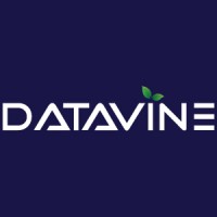 DATAVINE logo - Similar company to Thrive-Wise