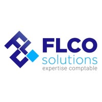 FLCO Solutions logo - Similar company to Geode Conseils