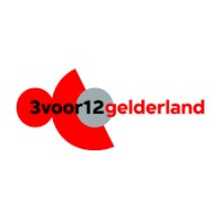 3voor12 Gelderland logo - Similar company to De Basis