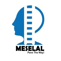 Meselal Consultancy PLC logo - Similar company to Mental Weg