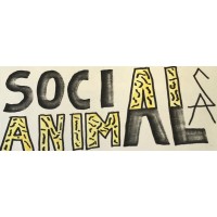 Social Animal