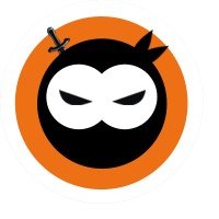 Skill Ninjas logo - Similar company to Skill Ninja S.R.O.