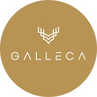 Galleca_India logo - Similar company to Elevate X