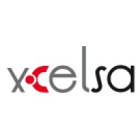 XCELSA logo - Similar company to Cima It Perú