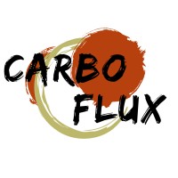 CarboFlux logo - Similar company to Projet Dinaamicc