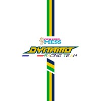 Team Dynamo Racing logo - Similar company to Evokart