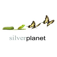 Silver Planet Unique Property Solutions