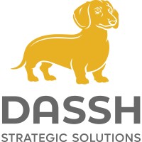 DASSH Strategic Solutions logo - Similar company to Petley Automation