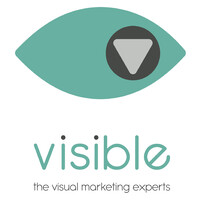 Visible-brands logo - Similar company to Futurity Consultancy