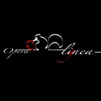 Opera Lignea logo - Similar company to Net Sistemi Integrati