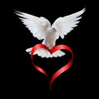 Save Birds - Kandivali logo - Similar company to Semsons Laser Tech