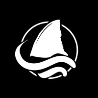 Finvisor logo - Similar company to Finvisor