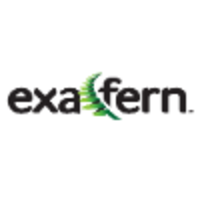 Exafern Limited logo - Similar company to Intuisec Limited