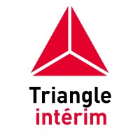Triangle Interim logo - Similar company to Sup Interim