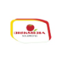 Diskmidia Solutions