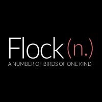 Flock DC logo - Similar company to Birdwatch