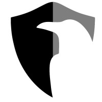 RavenForTech logo - Similar company to We-Know Zrt.