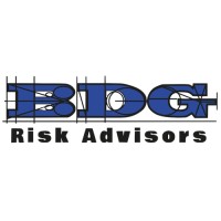 BDG Risk Advisors logo - Similar company to Direlo