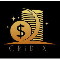 Cridix Accountancy logo - Similar company to Bookkeeping Savvy