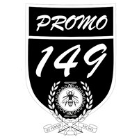Promotion 149 - A.E.E.F.E.P.M. logo - Similar company to Tiptree Systems