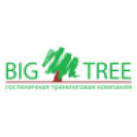 Big Tree - Customer Experience & Service Design logo - Similar company to Morphy Vision