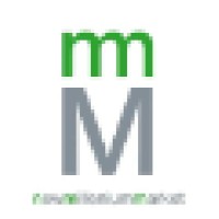 New Millenium Market