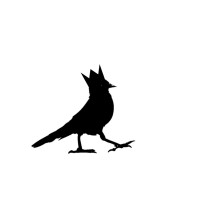 Blackbird Chateau logo - Similar company to Sweet Design Studio La