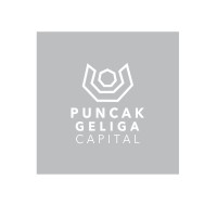 Puncak Geliga Capital Sdn Bhd logo - Similar company to Vincaps Capital Sdn Bhd