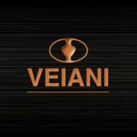 Veiani logo - Similar company to Raakmakers | Collectief Voor Rake Videoproducties