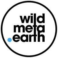 WildMeta.Earth logo - Similar company to L'Ensemble