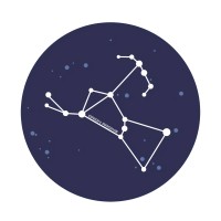 Orion Racing logo - Similar company to Orion Racing Team