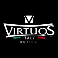Virtuos Boxing logo - Similar company to The Wicked Group