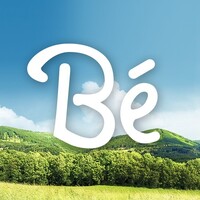 Besky logo - Similar company to Spiderweb