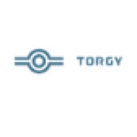 Torgy Group logo - Similar company to Sikkerhetskompaniet As