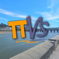 TTVS logo - Similar company to Transilience