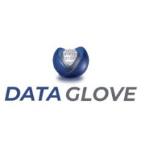 Data Glove Inc. - Part of Persistent Systems logo - Similar company to Vios