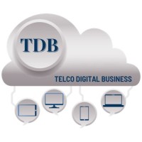 Telco Digital Business logo - Similar company to Ringtel