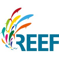 Reef Distribution GmbH logo - Similar company to Softmachine Immersive Productions