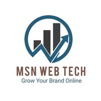 MSN WEB TECH logo - Similar company to Cnr Technologies
