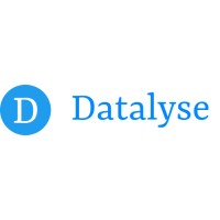 datalyse logo - Similar company to Datalyse